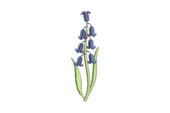 Bluebell Embroidery: A Fresh Design Element