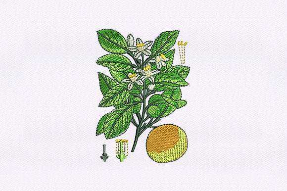 Discover the Elegance of Floral Vines Orange Embroidery